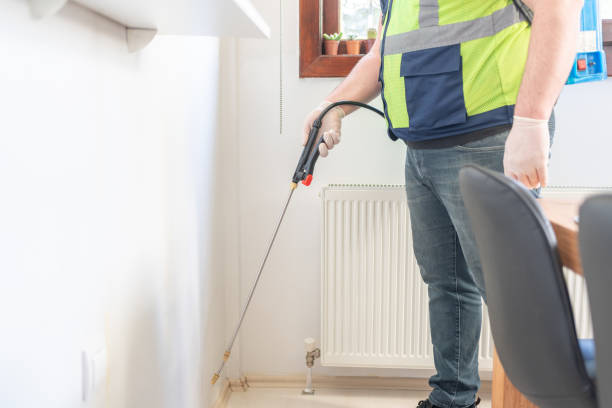 Best Pest Control Treatment  in Rice Lake, MN