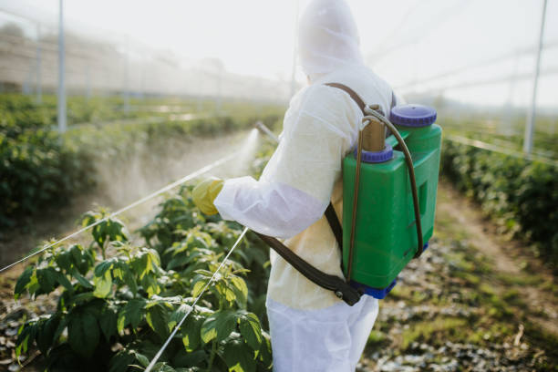 Insect Control in Rice Lake, MN